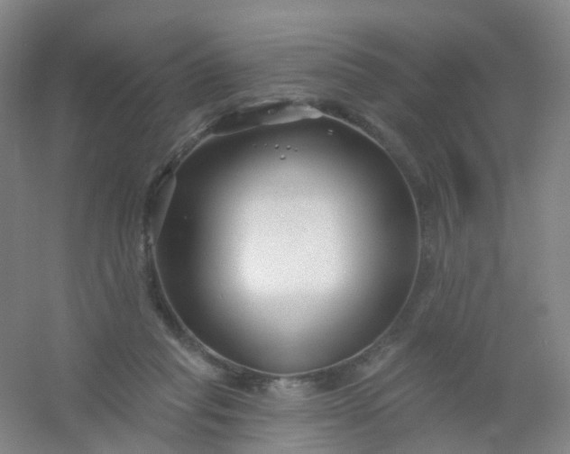 X0000054440261200508121852