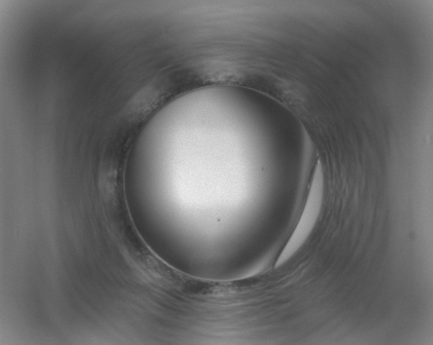 X0000054440263200508121852