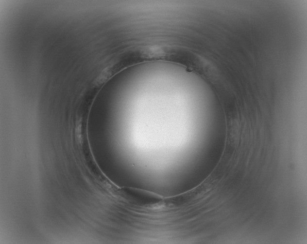 X0000054440267200508121852