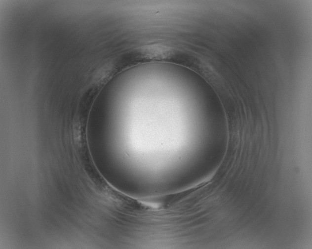 X0000054440268200508121852