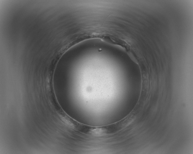 X0000054440269200508121852