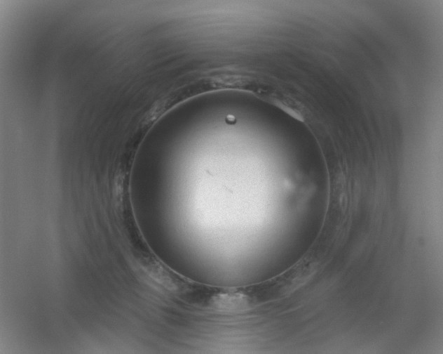 X0000054440271200508121852