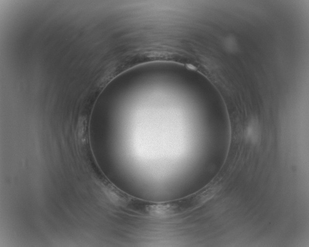 X0000054440273200508121852