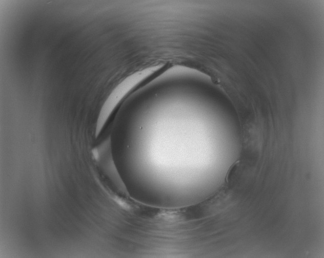 X0000054440280200508121852