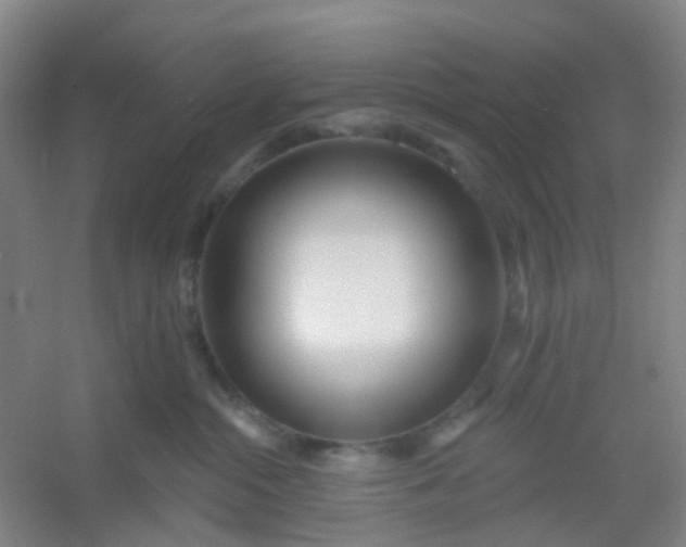 X0000054440284200508121853