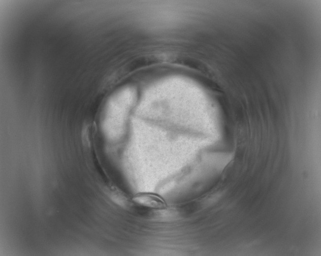 X0000054440286200508121853