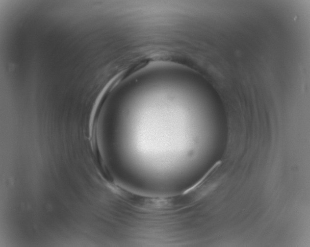 X0000054440288200508121853