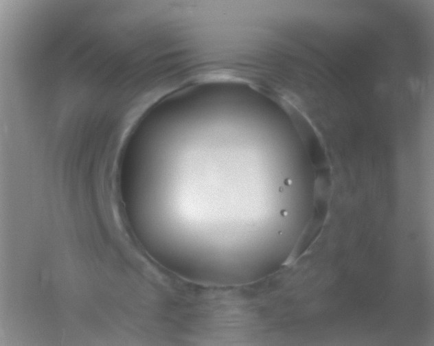 X0000054440289200508121852