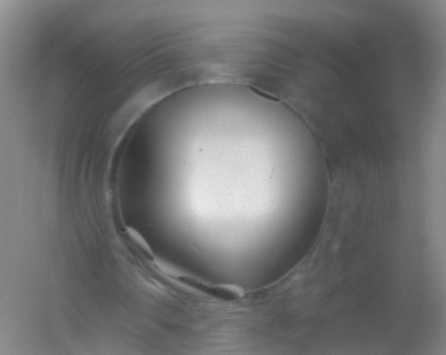 X0000054440290200508121852