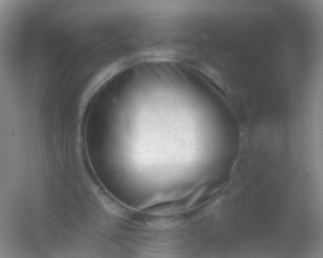 X0000054440293200508121852