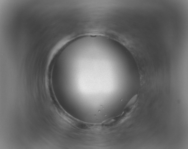 X0000054440294200508121852