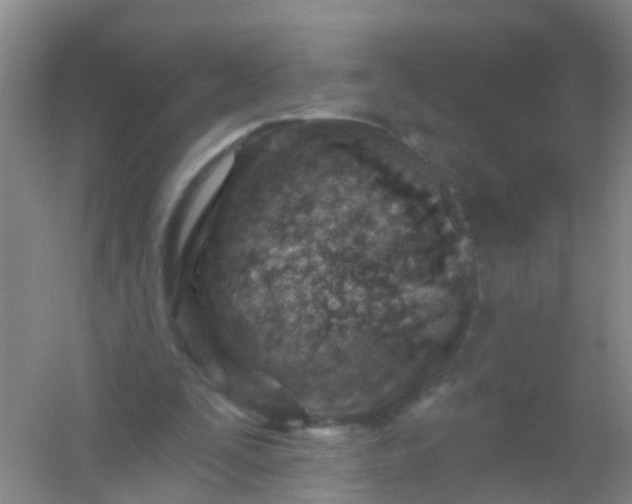 X0000054440295200508121852