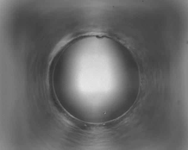 X0000054440296200508121852