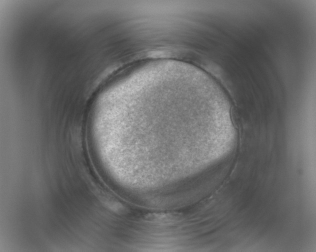 X0000054440297200508121852