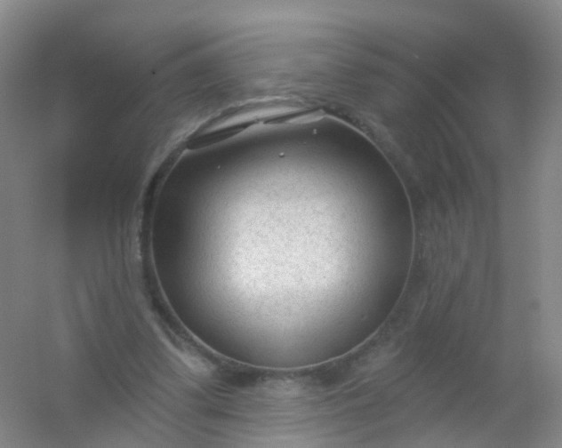 X0000054440299200508121852