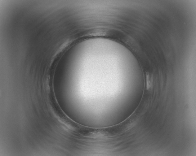 X0000054440300200508121852