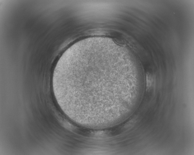 X0000054440301200508121852