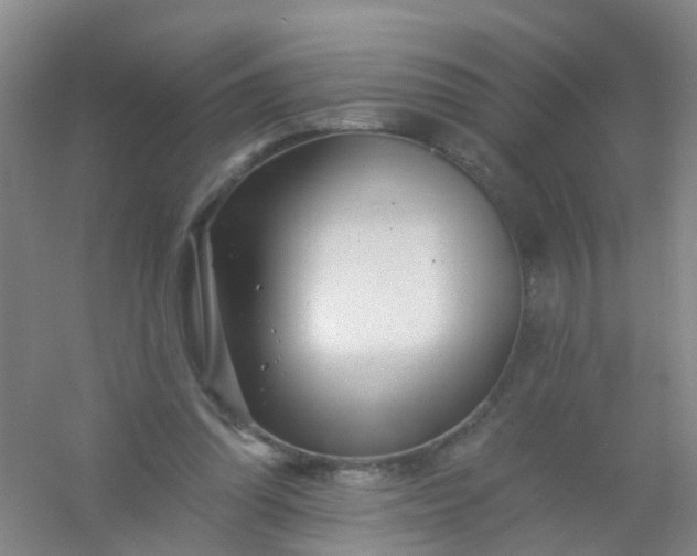 X0000054440302200508121852