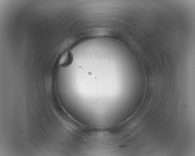 X0000054440304200508121852