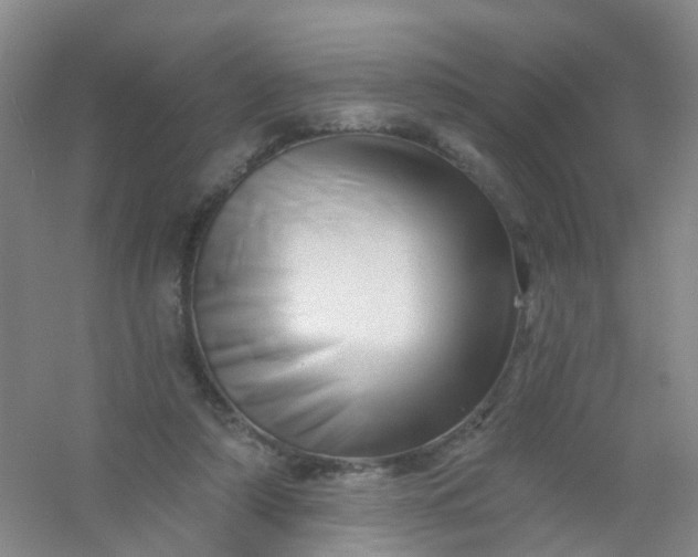 X0000054440306200508121851