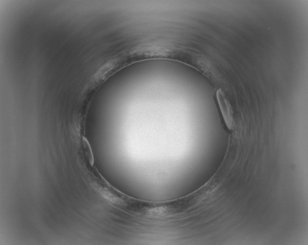 X0000054440309200508121851