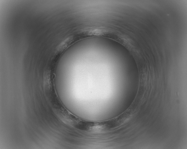 X0000054440312200508121851