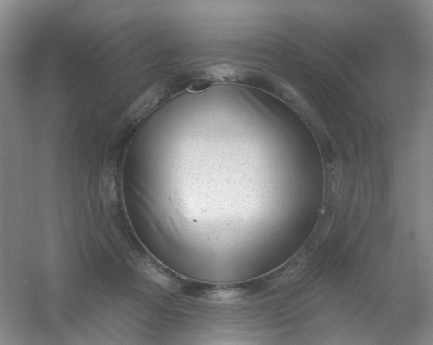 X0000054440313200508121851