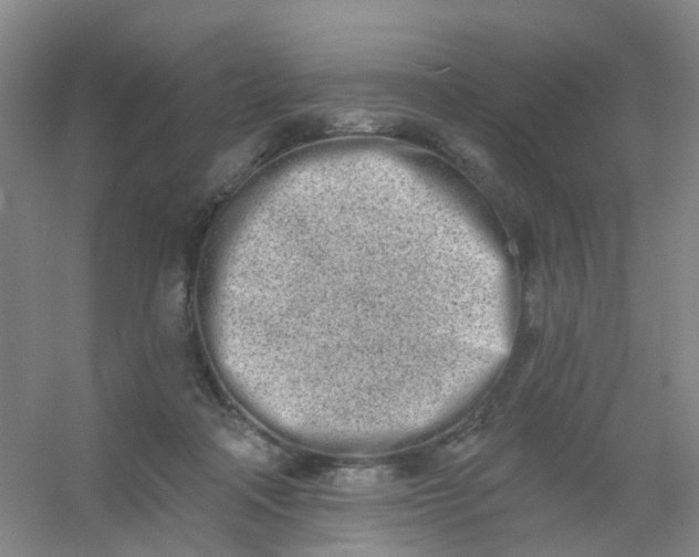 X0000054440314200508121851