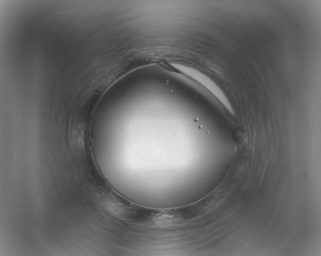 X0000054440315200508121851