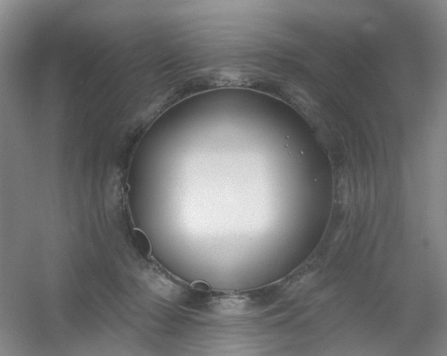 X0000054440318200508121851