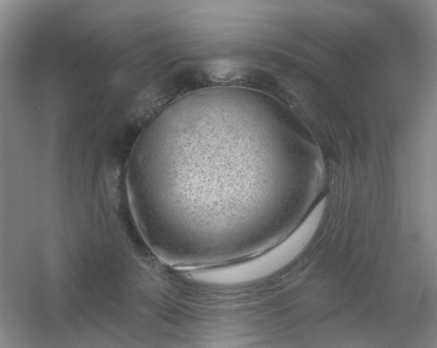 X0000054440319200508121851