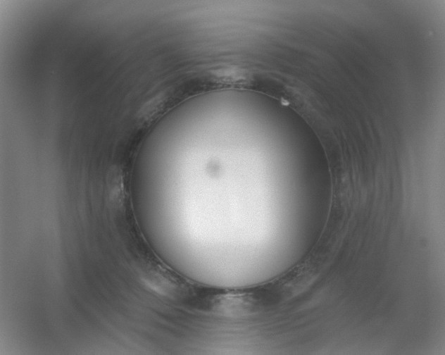 X0000054440320200508121851