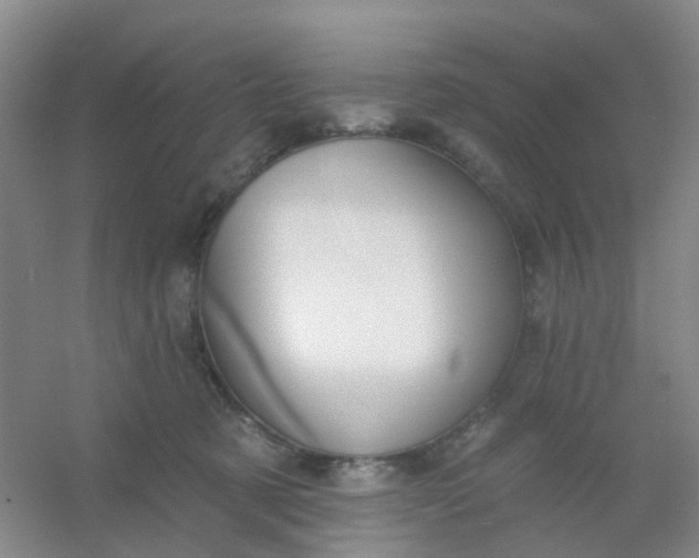 X0000054440321200508121851