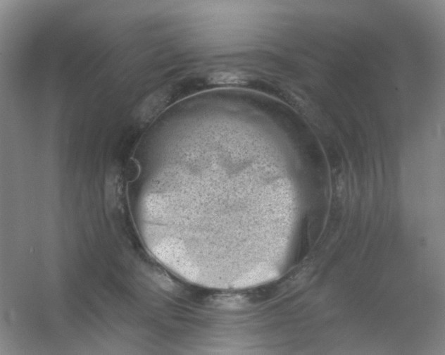 X0000054440322200508121851