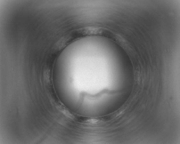 X0000054440326200508121851