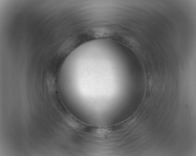 X0000054440327200508121851