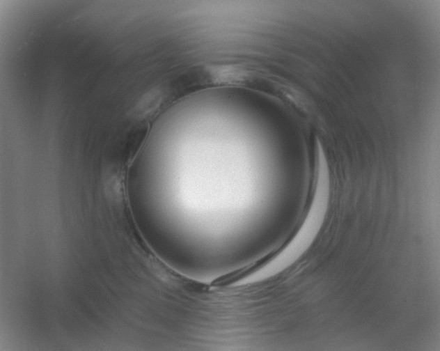 X0000054440329200508121851