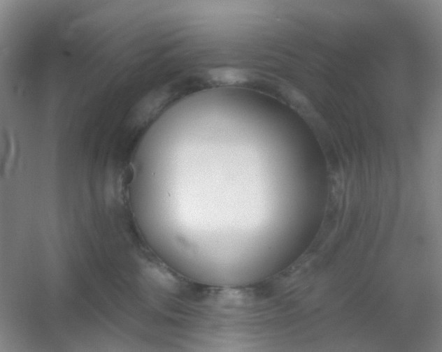 X0000054440330200508121851