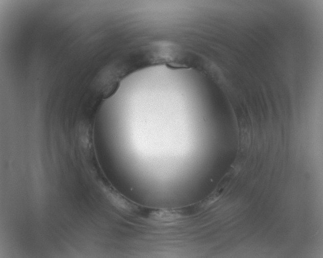 X0000054440331200508121851