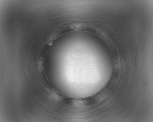 X0000054440332200508121851