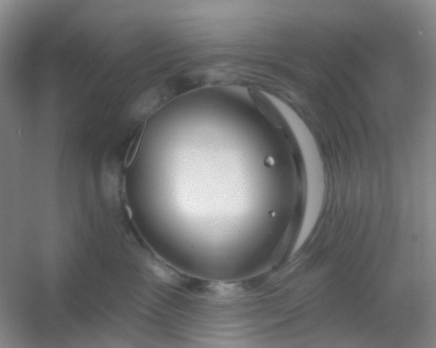 X0000054440333200508121851