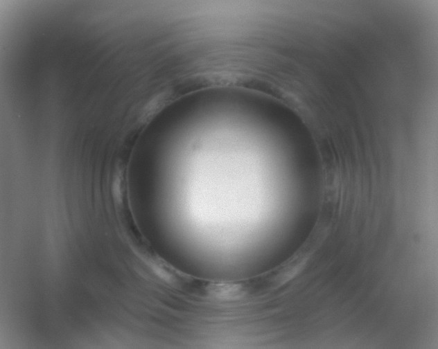 X0000054440334200508121851