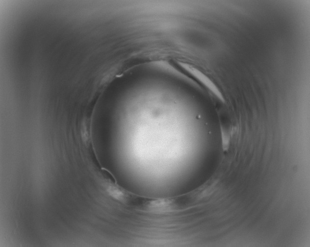 X0000054440335200508121851