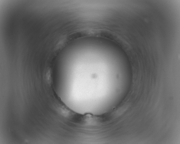 X0000054440336200508121851