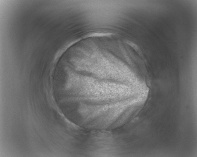 X0000054440337200508121850