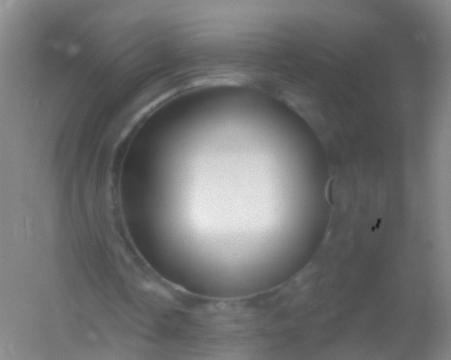 X0000054440338200508121850