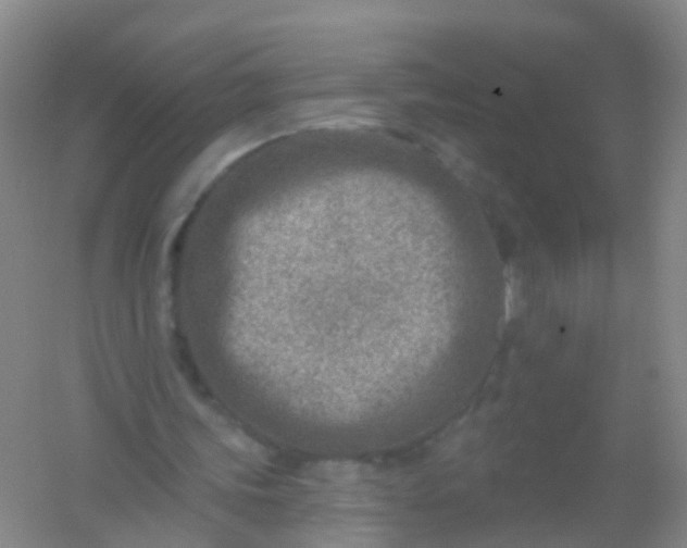 X0000054440339200508121850