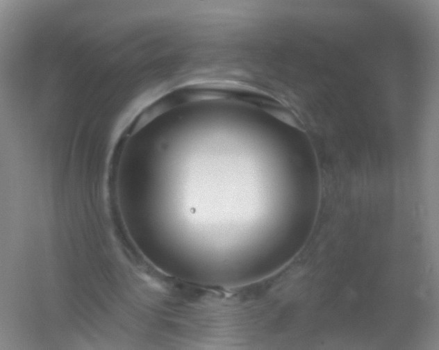 X0000054440340200508121850