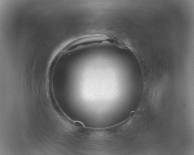 X0000054440342200508121850