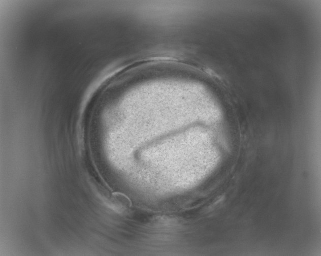 X0000054440343200508121850